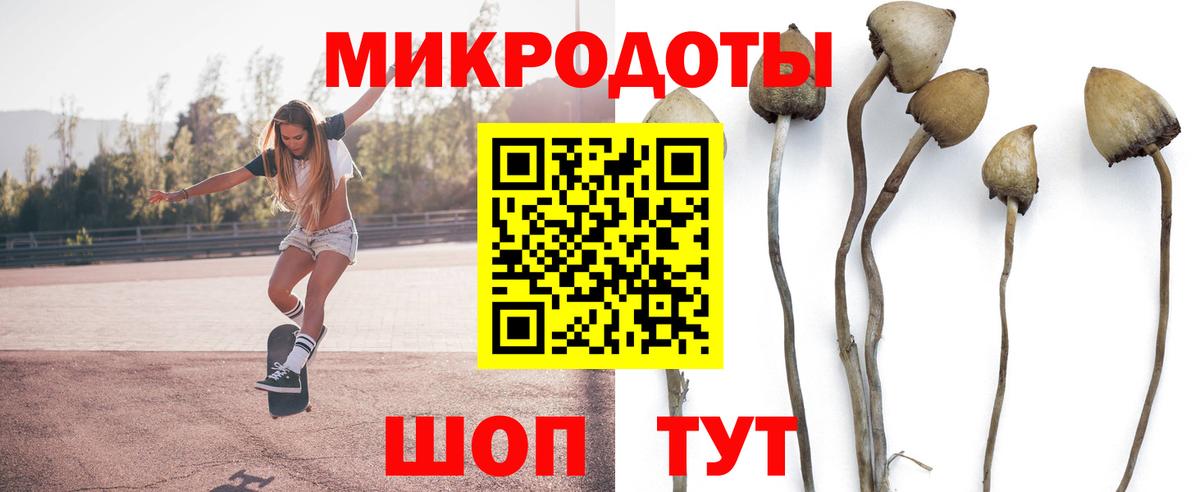 Вязники  Галлюциногенные грибы Magic Shrooms  Вход с VPN  Псилоцибиновые грибы ЛСД 